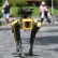 Terlalu Mengerikan, Kepolisian New York Hentikan Penggunaan Anjing Robot