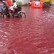 Seperti Ini Gambaran 'Sungai Darah' di Bangladesh Saat Idul Adha